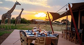 Tamu Tamu Serengeti National Park