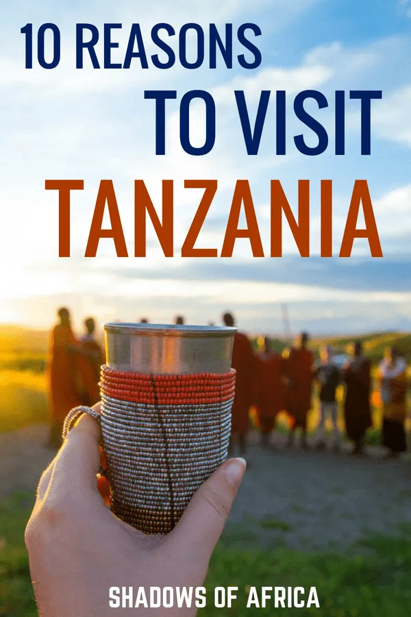 There are so many incredible things to do in Tanzania! From a Serengeti safari to climbing Mt. Kilimanjaro. Here's why you should visit Tanzania! #travel #Tanzania #Africa #safari
