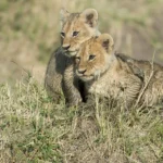 Eleven Days Well Spent in Tanzania