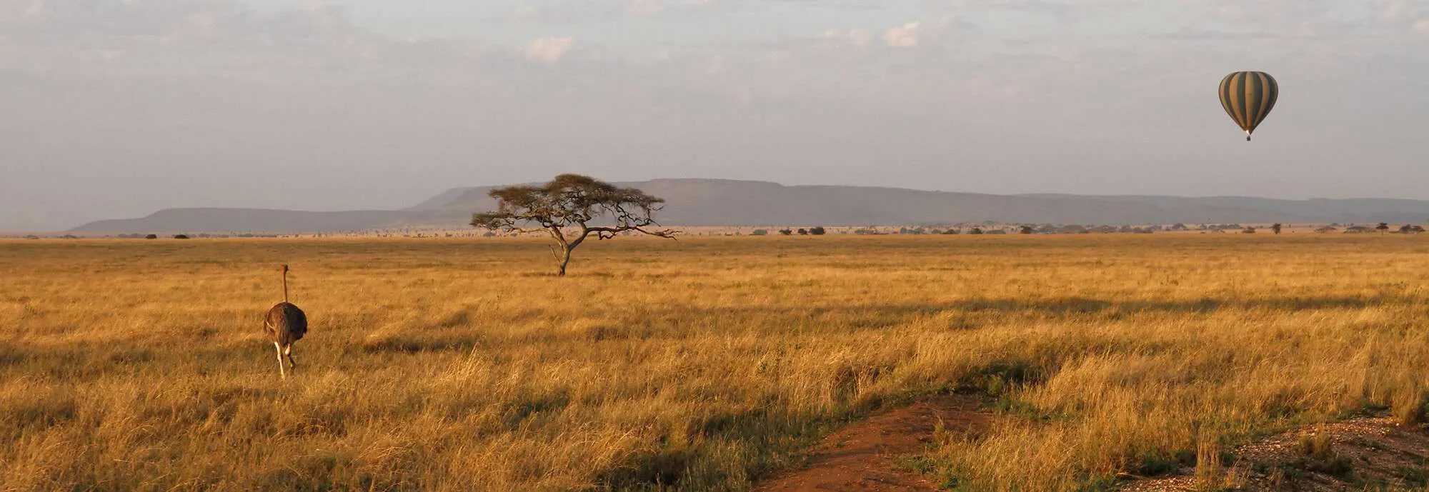 Balloon Safari
