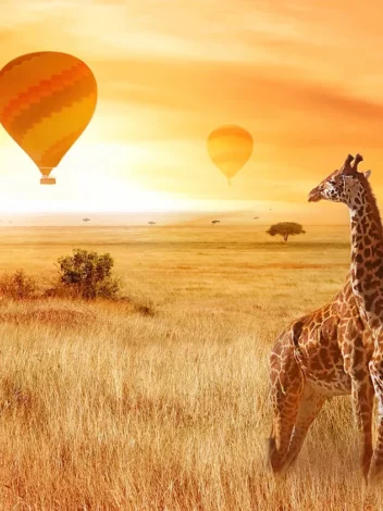 Balloon safari