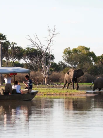Boat Safari in Nyerere National Park