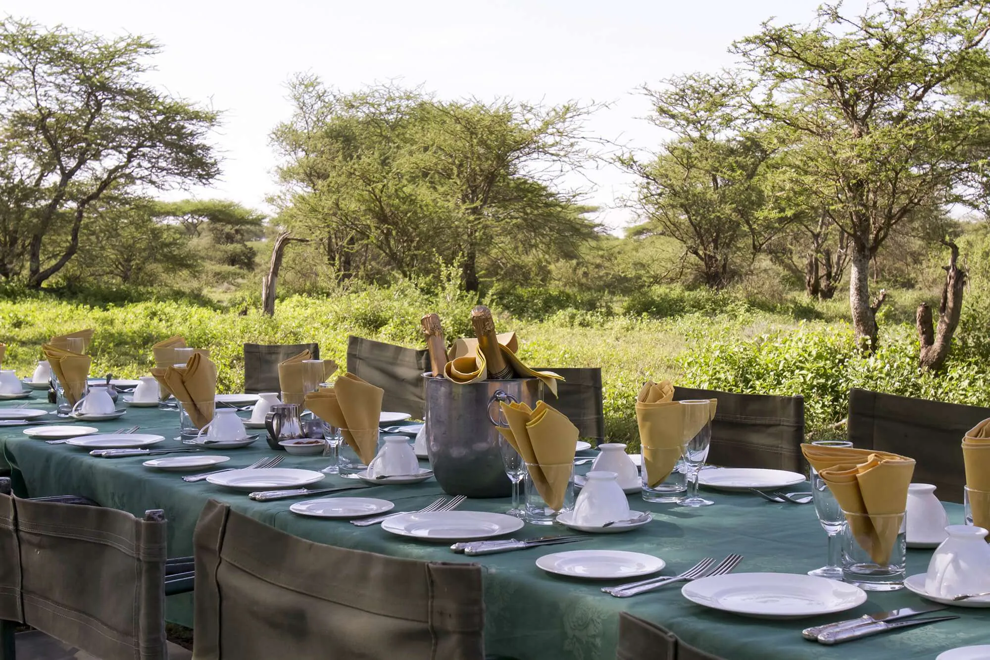 Bush Breakfast