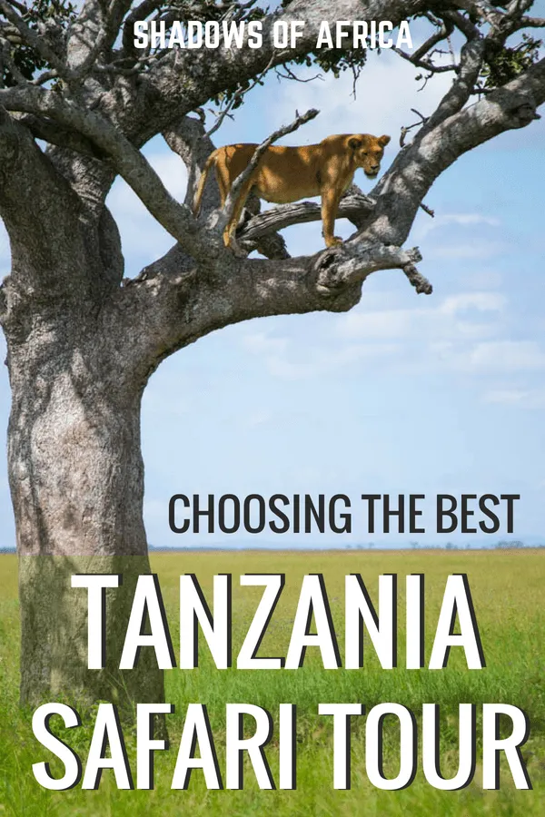 Are you planning a trip to Tanzania? Here's how to choose the perfect Tanzania safari tour for you! From adventure and culture safaris, to picking the right safari itinerary - we've got you covered. #safari #Tanzania #Africa #travel