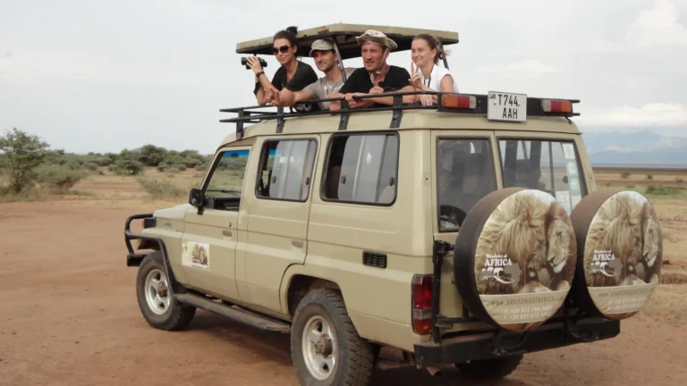 Making the most of Safari – Prep for a whole day out!
