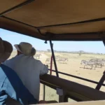 Father and Son Safari