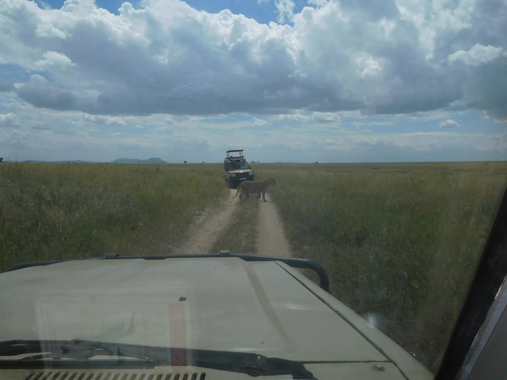 Safari jeep overlooking Ngorongoro Crater