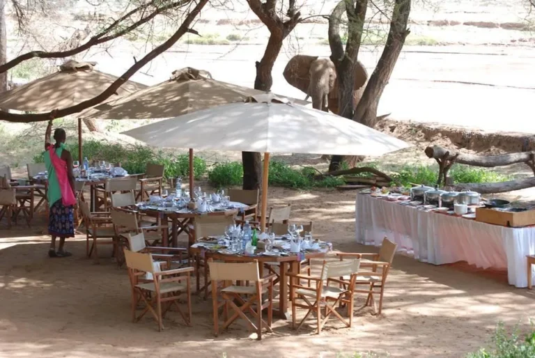 Elephant Bedroom Camp
