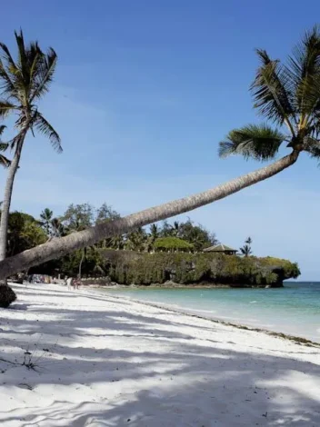 Eleven Day Bush to Beach Safari