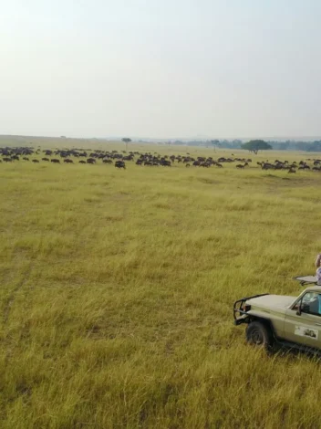 Game drive safari in Tanzania