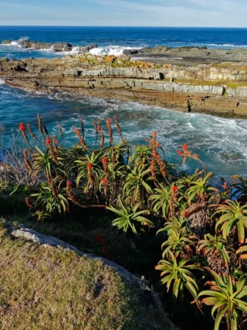 Garden Route