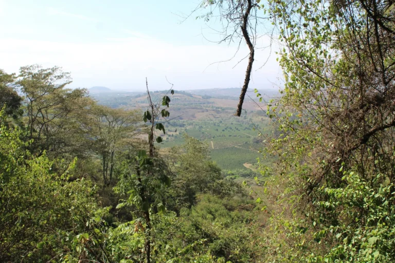 Between Ngorongoro & Manyara. Elephant Caves Walk