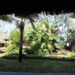 10 Reasons Why We Love Tulia Beach Resort, Zanzibar