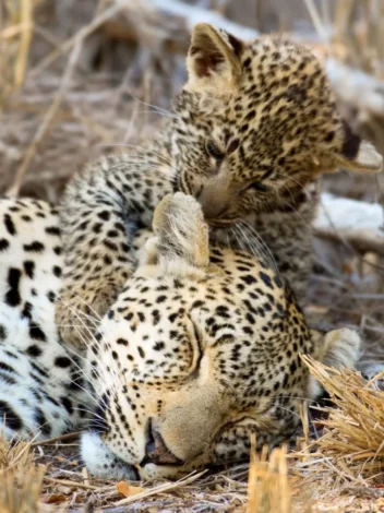 Kruger National Park