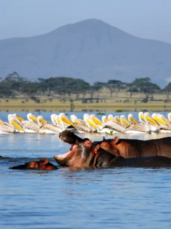 Lake Naivasha