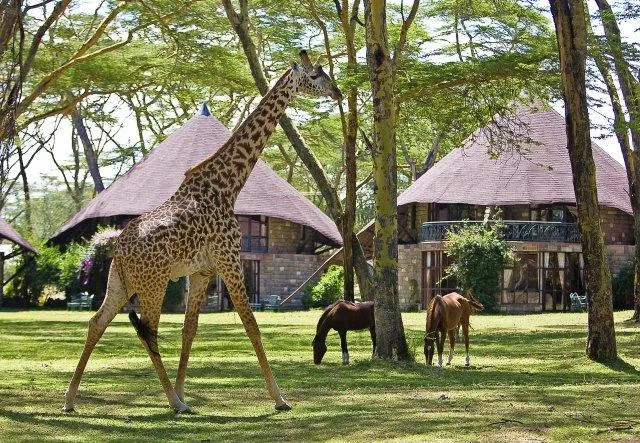 Lake Naivasha Sopa Lodge