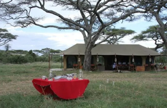 Lemala Ndutu