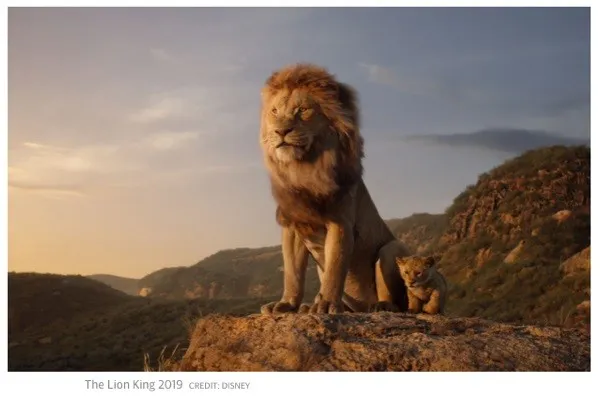 The Lion King inspiring Disney Lion Conservation Africa