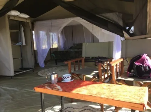 Tree camp in Serengeti