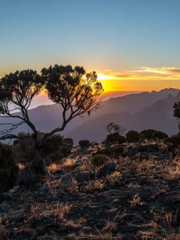 Machame Route - Climb Kilimanjaro - 6 days