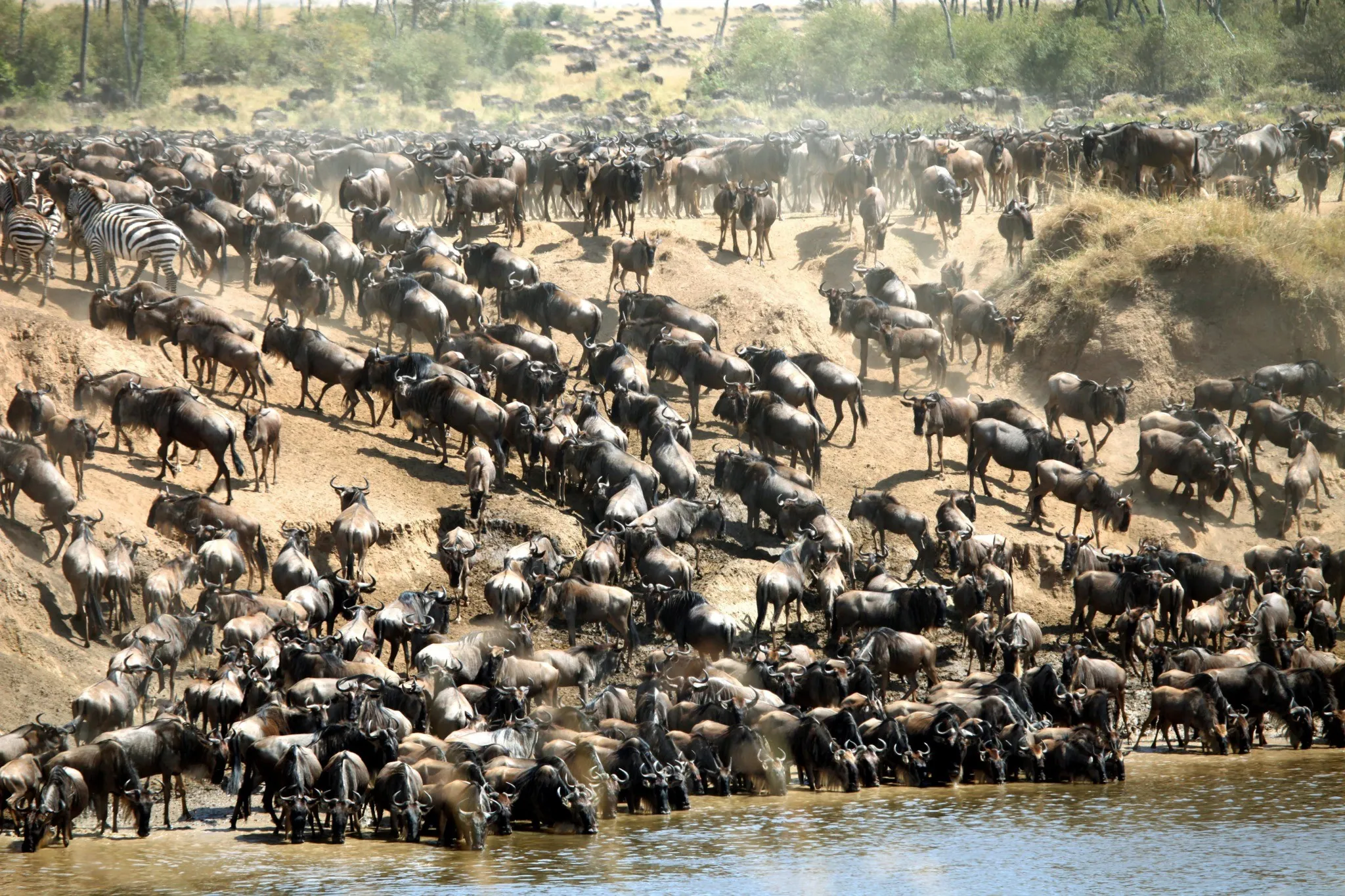 Migration_Contensts