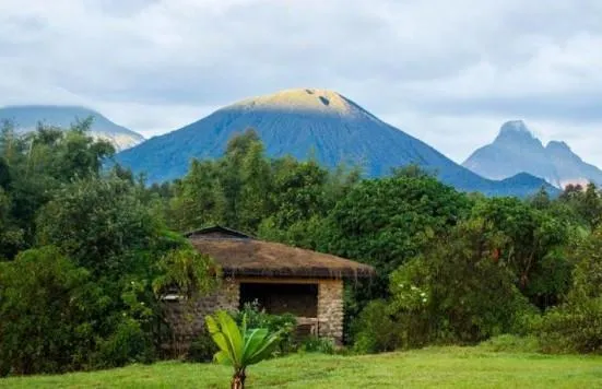 Mountain Gorilla View Lodge