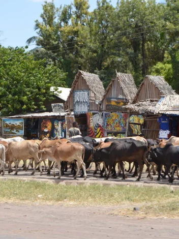 Mto Wa Mbu village walk