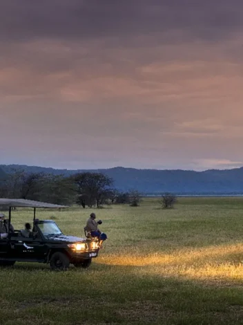 Night game drive