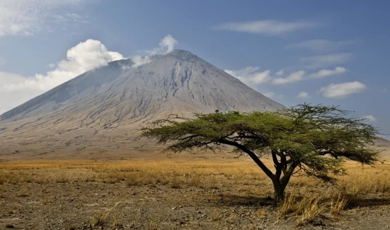 Seven Day Ngorongoro Highlands Trekking Adventure