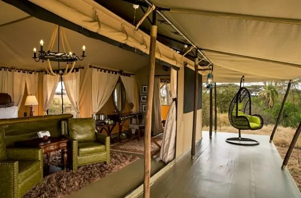 Karibu Lions paw camp