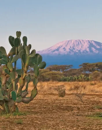 One Day Marangu Village Tour