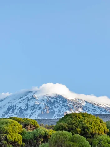 One Day Safari to Arusha National Park