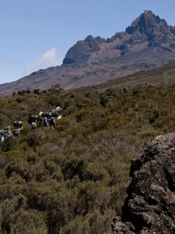 Rongai Route - Climb Kilimanjaro - 7 days