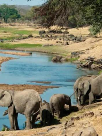 Ruaha &amp; Selous By Air - 8 Day Flying Safari