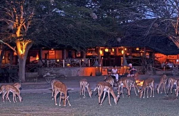 Satao Camp