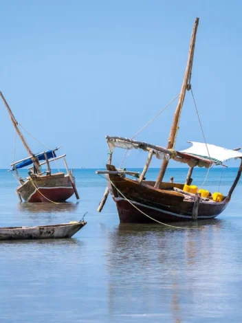 Sea Adventure -  by Tales of Zanzibar