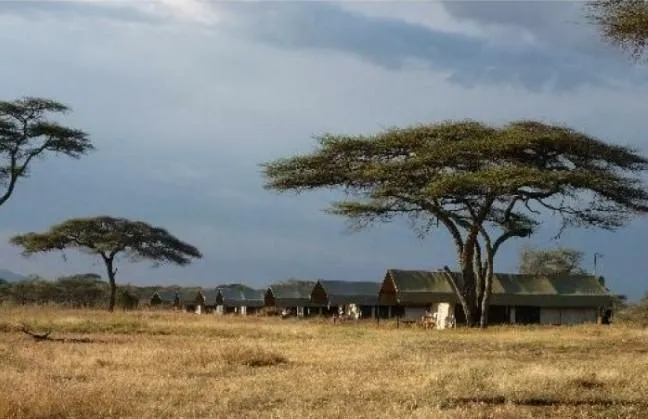 Serengeti National Park Savannah Camps Mara River