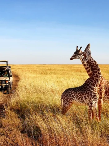 Six Day Tanzania Culture and Wildlife Safari