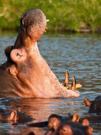 Tanzania Off the Beaten Track - 11 Day Southern Driving Safari