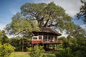 Tarangire Treetops