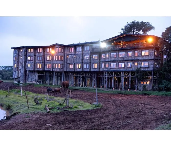 Treetops Hotel