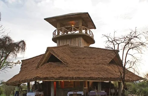 Best Safari Experience in Tanzania 9
