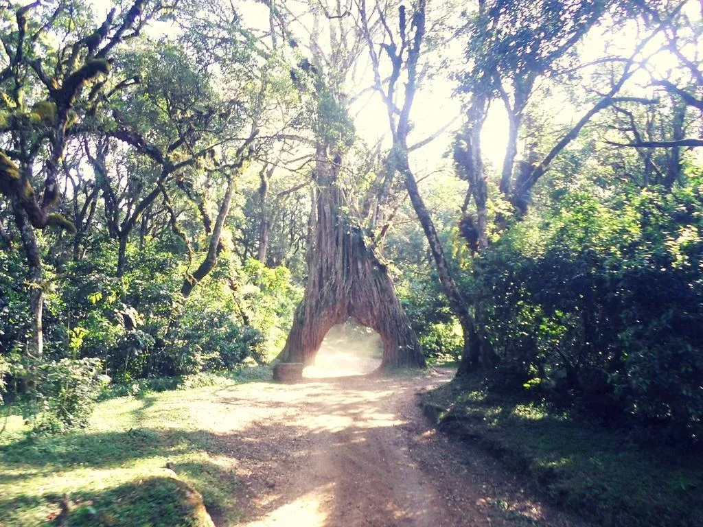 Mount Meru Trek