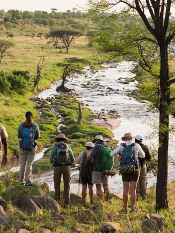 Walking safari