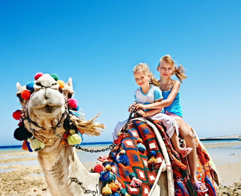 How to Have a Fantastic Safari with Kids