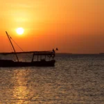 Go on a short safari from Zanzibar