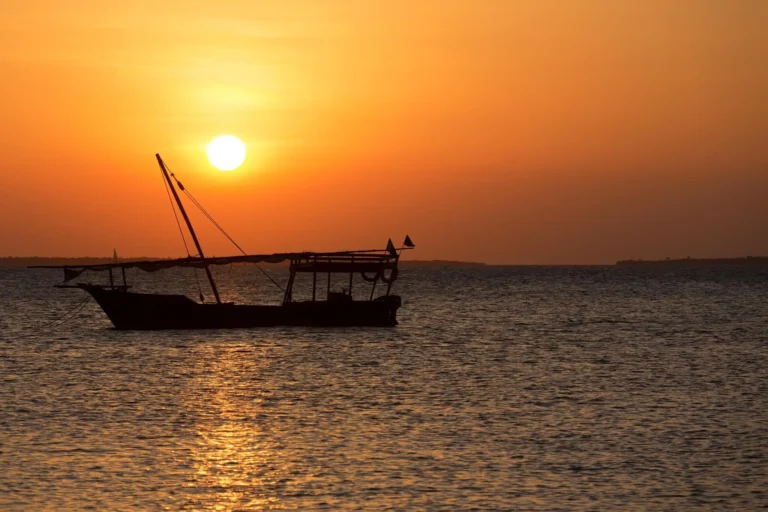 Go on a short safari from Zanzibar