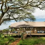 Serengeti Safari Guide: Where To Stay