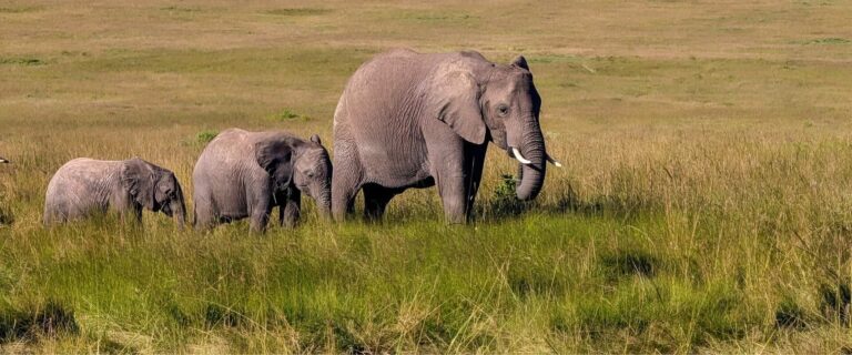 Offbeat Tanzania – Explore Tarangire, Arusha & Hidden National Parks Tanzania