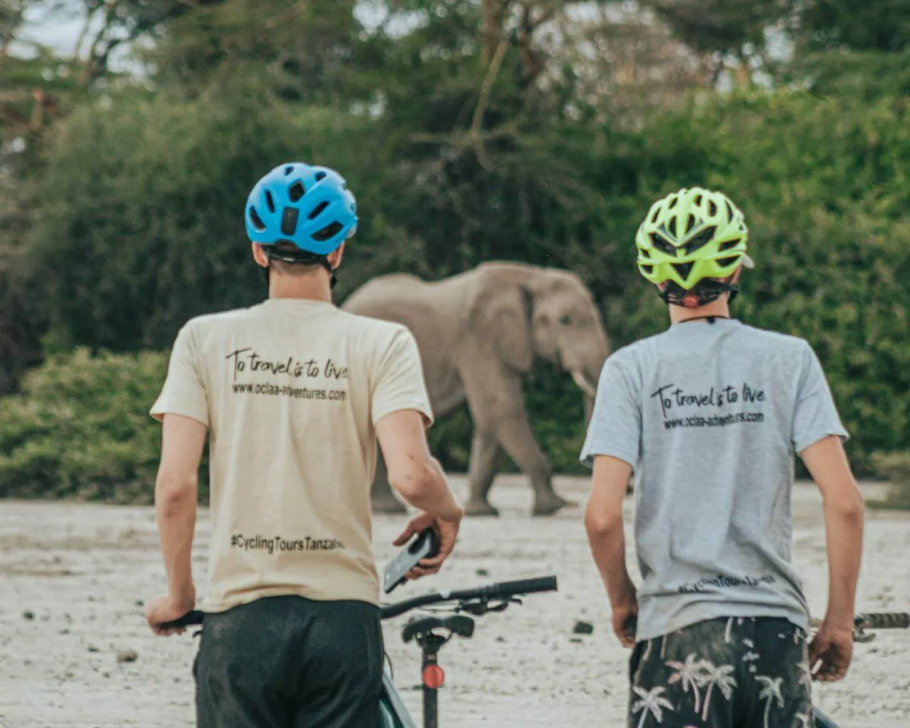 Second Safari in Africa